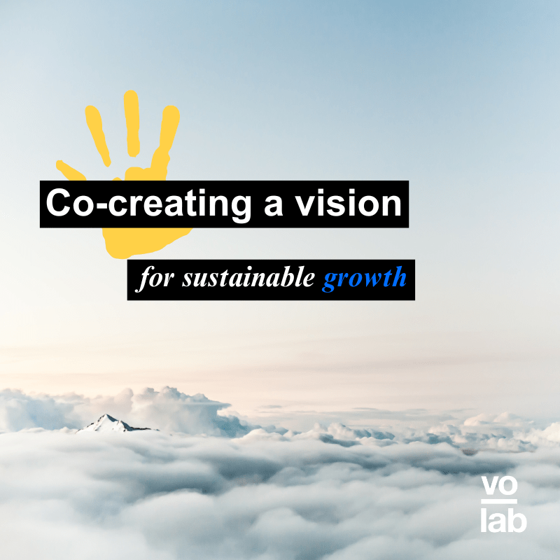 #B3 Co-Creating a Vision for Sustainable Growth